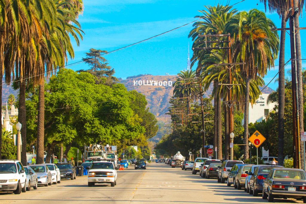 Palm-lined street with buildings in Los Angeles