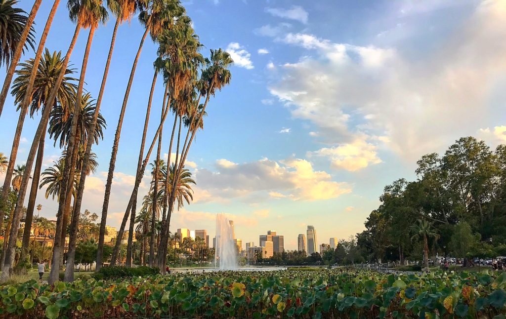 Tall palm trees overlook a lake with a fountain and lily pads, with the Los Angeles skyline in the distance as viewed by a Business Lawyer in Echo Park under a sunset sky.