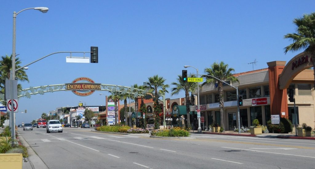 Street view of Ventura Boulevard in Encino near a business lawyer’s office, showing “The Valley’s Encino Commons” arched sign, palm trees, and storefronts under a clear blue sky.