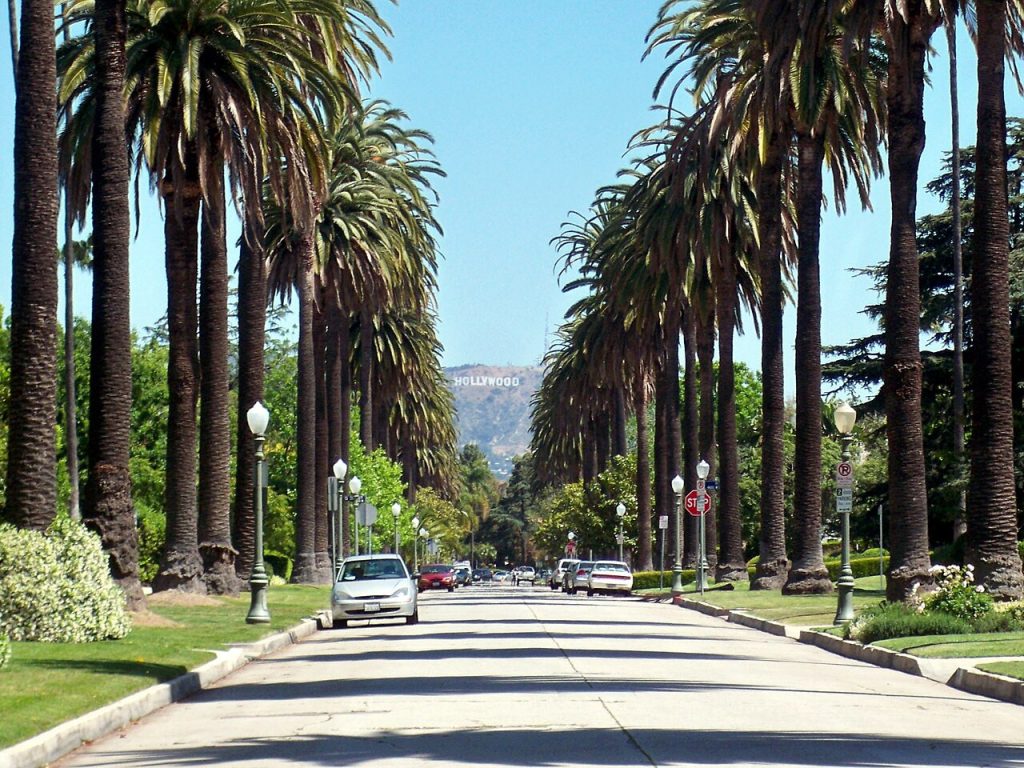 Tall palm trees line a residential street in Hancock Park, looking toward the Hollywood sign in the distance.