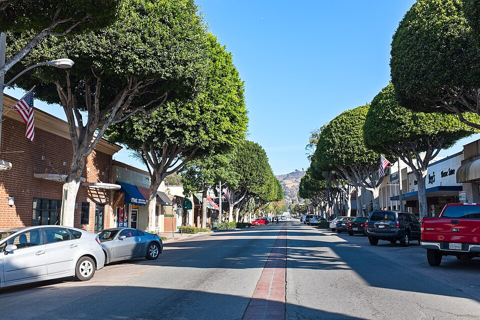A sunny street lined with businesses, parked cars, and manicured trees leading toward the distant hills of Woodland Hills.
