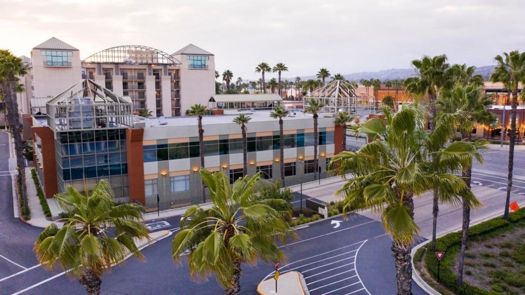 Town with palm trees and low-rise buildings