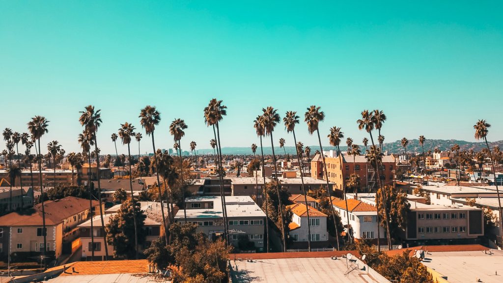 A dense neighborhood in Los Angeles, home to a real estate law attorney, featuring numerous tall palm trees against a clear sky.
