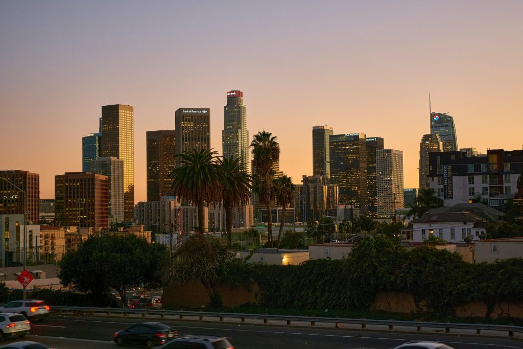 City skyline at sunset with palm trees